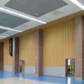 Tấm ốp trần nhôm/tường nhôm F-Shaped